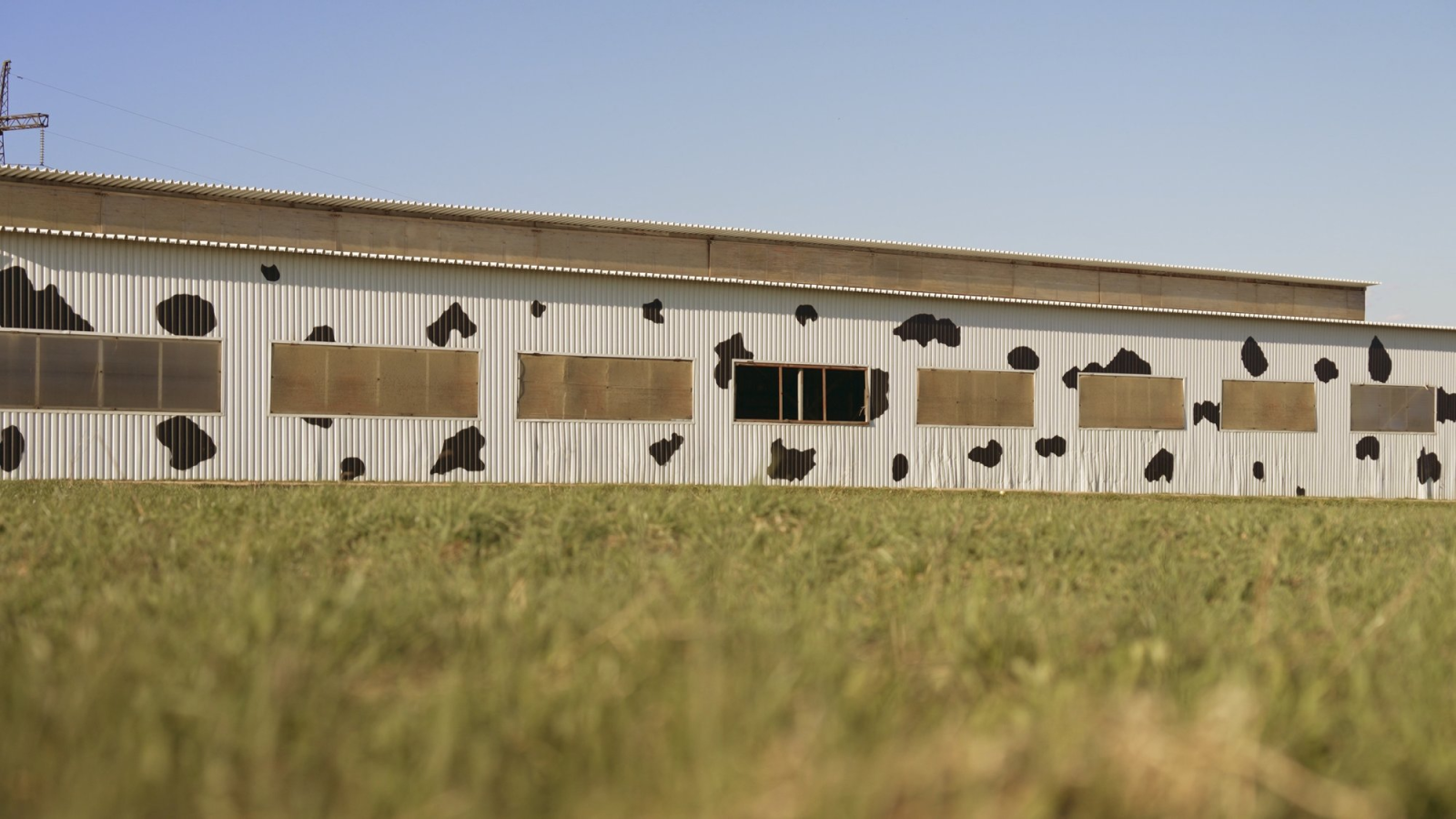 Hangars et stabulations